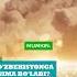 O Zbekiston Bilan Nima Bo Ladi Hindiston Va Pokiston Yarashadimi