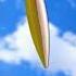 Shooting A Bullet Straight Up Into The Air