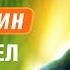 Хабибулин Вратарская психология штрафы Ларионова выход за Торпедо коррупция в федерации Лёд