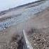 Snow Goose Jump Hunter Ducks Birds Viralvideo Snowgoosehunting Snow Goose