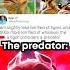What Are Tigers Scared Of
