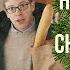 Joe Pera Talks With You Joe Pera On Christmas Trees Adult Swim UK