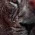 Drugs Dj Mehmet Tekin Original Mix Drugs Dj Mehmet Tekin