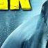 Jurassic Shark 2 FULL MOVIE Monster Movies Creature Features The Midnight Screening