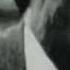 Who Is Albizu Campos Trailer