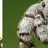 Use Any Lens For Macro Photography