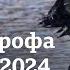 Экокатастрофа в Черном море мертвые птицы и пляжи в мазуте только начало Би би си объясняет