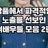 작품에서 파격적인 노출을 선보인 여배우들 모음 2편