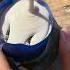 Lost Wax Casting A Sapphire Ring Making Jewelry