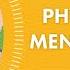 Physical And Mental Health