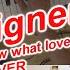 I WANT TO KNOW WHAT LOVE IS Foreigner Instrumental COVER