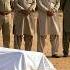 A Lion Attends His Savior S Funeral You Won T Believe What He Did Next
