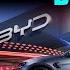 From Evergrande To BYD Is China S EV Dream Crashing