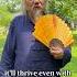 Three Types Of Trees Can Grow Your Wealth Fengshui Wealth Energy