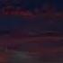 Breathtaking Sunset Timelapse City Lights Sky Colors Collide Sunset Scenery Travel 4k