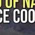 Alice Cooper Bed Of Nails Lyrics Video