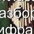 Желтоглазая ночь разбор с цифрами