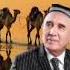 ШЕРАЛИ ЖУРАЕВ ЙИГИТЛАР