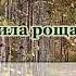 Отговорила роща золотая романс караоке