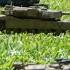 Army Men Warriors Of The World Micro Wars 8