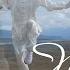 Crane Walk Moving Meditation 20 Min Morning Qigong For Longevity With Vivien Chao