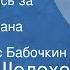 Михаил Шолохов Они сражались за Родину Главы из романа Передача 1 Читает Борис Бабочкин