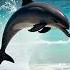 Sea Animal Transforms Into Supercar On The Road