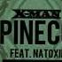 Madflow Ft Natoxie X Man Pineco Remix