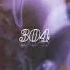 SPAR 304