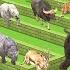 Maze Madness Race 23 Wild Animals Which Is The Fastest Animal Animal Revolt Battle Simulator