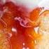 Try This Easy Caramel Cake Recipe Melts In Your Mouth Eggless Cake Recipe