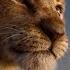 The Lion King Official Trailer