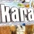 Amor Mio No Te Vayas Made Popular By Gilberto Santa Rosa Karaoke Version