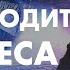 Сознание процветания ИЗМЕНИТЕ СВОЁ МЫШЛЕНИЕ измените свою жизнь Джон Кехо