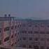 DAV DAV Shortvideo Viralvideo Shorts