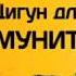 9 2 Цигун для иммунитета 1 Основы Ли Холден