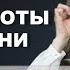 Английский Язык для Работы и Жизни Выпуск 2