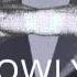 Owly Arcantara