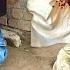 Bully Dog Badshah Ny Italian Puppy Ko Kaat Liya