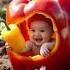 Baby In Red Bell Pepper Cute