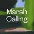 Marsh Calling