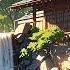 Best Traditional Relaxing Japanese Music For Meditation Stress Relief Deep Sleep And Calming