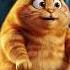 Chubby Orange Cat Vs Tiny Box Hilarious Cat Fail Catlover Cats Catshorts
