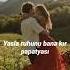 Yasla Ruhunu Bana Kır Papatyası Yotubeshorts Müzik Lyrics Bahadırsağlam