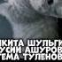 НИКИТА ШУЛЬГИН МУСИМ АШУРОВ ТЕМА ТУЛЕНОВ ПЛЮС ВАЙБ СПИД АП ЕЩЁ ОДНА ВЕРСИЯ