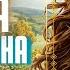 АУДИОКНИГА НЯНЬКА ДЛЯ ДРАКОНА ч1 2 ЛЮБОВНОЕ ФЭНТЕЗИ ПОПАДАНКА ДОБРО ЛФФР БЫТОВОЕ ФЭНТЕЗИ