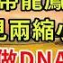太太 帶龍鳳胎回國了 續集02 我隱藏孕肚與總裁離婚 三年後帶龍鳳胎回國 總裁看見兩縮小版自己 偷偷做DNA鑒定 結果一出來他驚呆了