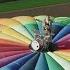 Nickless Don T Stop The Car Hot Air Balloon Performance