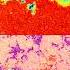 20250201 20250209 Growing Sun Spots SDO HMI Continuum Magnetogram