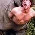 Jim Comedy Ace Ventura When Nature Calls Jim Carrey Hollywood Comedy Shorts Comedy Shorts